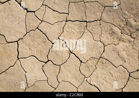 dry mud field for background Stock Photo