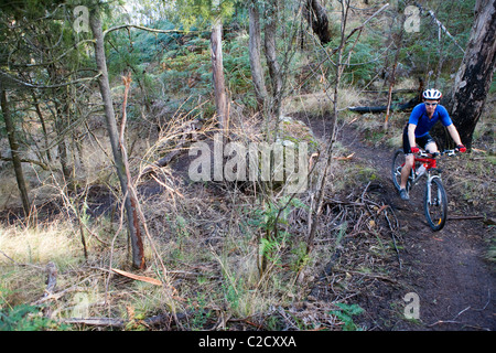 clarence mountain bike park