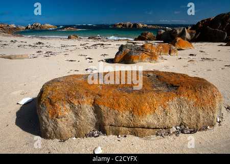 Lichen-coated boulders on the beach at The Dock Stock Photo