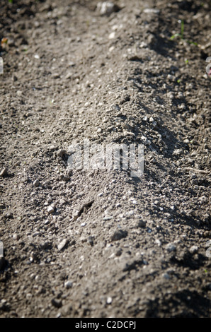 tilled land seed bed allotment Stock Photo