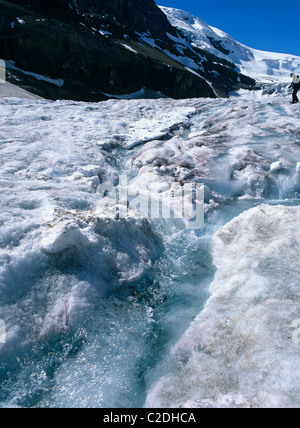 Athabasca Glacier Alberta Canada Stock Photo