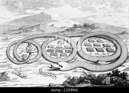 'the American Rattle Snake' Political Cartoon By James Gillray (1756 