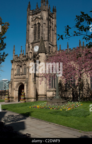 Manchester Cathedral in spring. Stock Photo