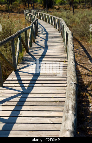 Wooden footbridge, Doñana National Park. Huelva province, Andalucia, Spain Stock Photo