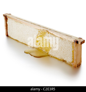 honeycomb on hive frame cut out cut-out colony bees Stock Photo