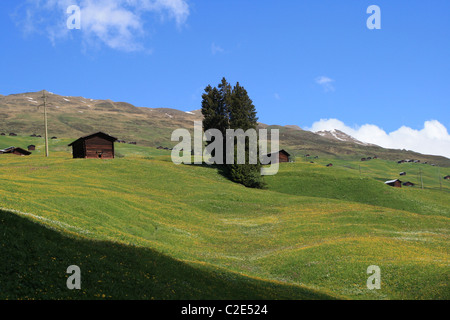 alpine slope clustered with little wooden huts Stock Photo