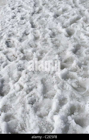 Human footprints on slushy pavement. At springtime the warm sunshine has had impact on snow and ice. Helsinki, Finland, ... Stock Photo