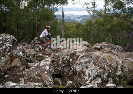 Mountain biker on the North South Track on Hobart's Mt Wellington Stock Photo