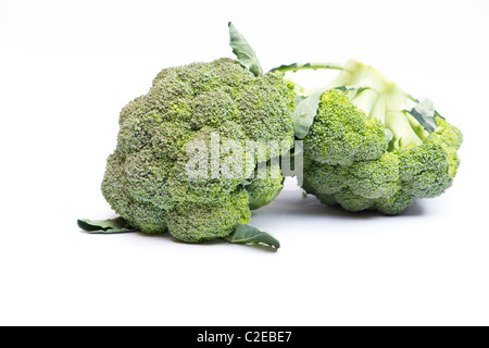 Close-up of fresh broccoli on white background Stock Photo