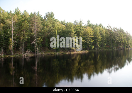 A view of Essens Lake, along the Essens hiking trail, at Bon Echo Provincial Park in Southern Ontario. Stock Photo