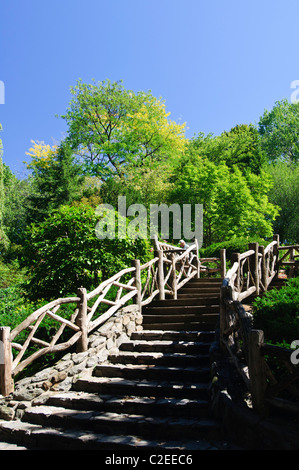 Shakespeare Garden, Central Park, Manhattan, New York City, USA Stock Photo