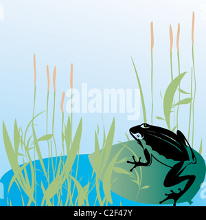 Illustration of a tropical frog Stock Photo - Alamy