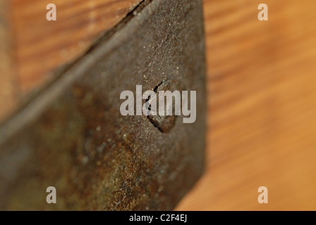 Old iron nail. Stock Photo