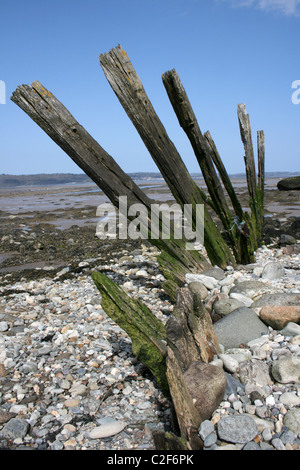 Wooden Groynes At The Spinnies Nature Reserve On The Ogwen Estuary, Menai Strait, Wales Stock Photo