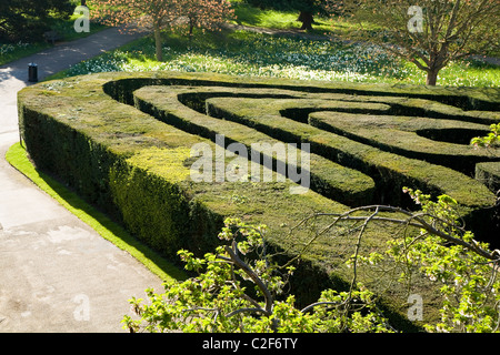 The maze at Hampton Court Palace. Middlesex. UK. Stock Photo