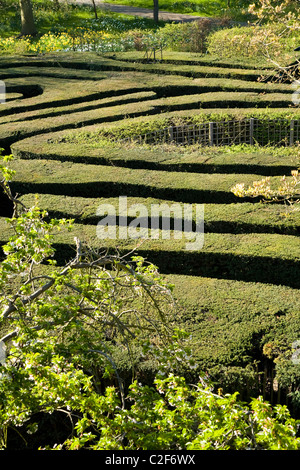 The maze at Hampton Court Palace. Middlesex. UK. Stock Photo