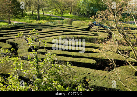 The maze at Hampton Court Palace. Middlesex. UK. Stock Photo