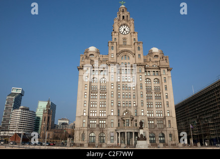 Royal Liver Building, Liverpool, England Stock Photo