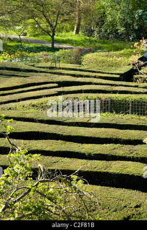 The maze at Hampton Court Palace. Middlesex. UK. Stock Photo