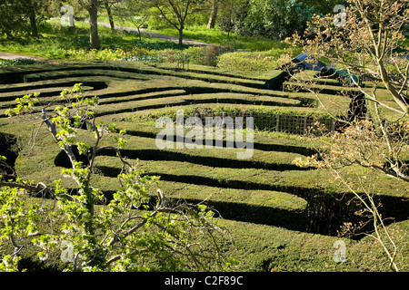 The maze at Hampton Court Palace. Middlesex. UK. Stock Photo
