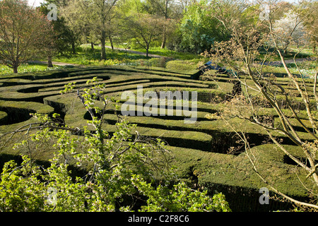 The maze at Hampton Court Palace. Middlesex. UK. Stock Photo