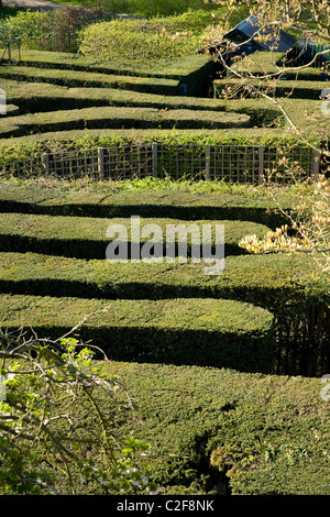 The maze at Hampton Court Palace. Middlesex. UK. Stock Photo