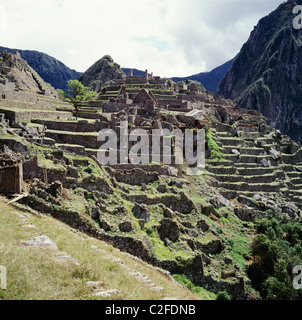 Machu Picchu Sacred Valley Peru Stock Photo