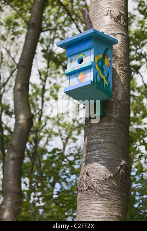 Child painting a birdhouse Stock Photo - Alamy