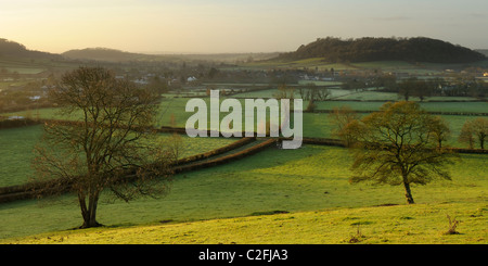 Two trees on the edge of Compton Dundon village in Somerset Stock Photo