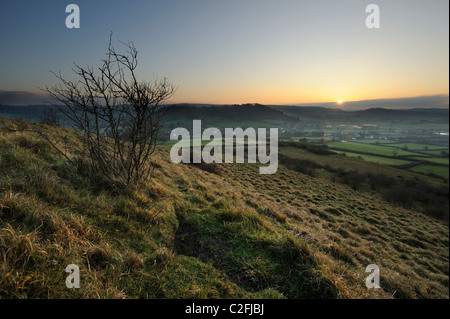 A burrow on Lullover Hill in Compton Dundon, Somerset at sunrise Stock Photo