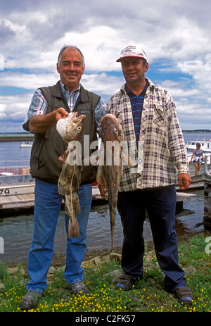 2, two, French-Canadians, French-Canadian, Canadian, men, fisherman, fishermen, weighing fish, marina, Shippagan, New Brunswick Province, Canada Stock Photo