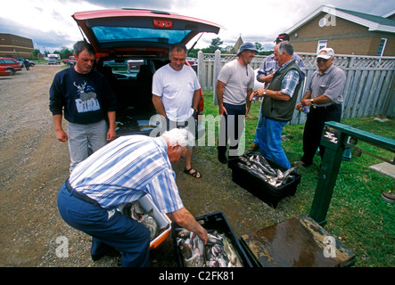 French-Canadian, Canadian, fishermen, fish market, marina, Shippagan, Gloucester County, New Brunswick Province, Canada Stock Photo