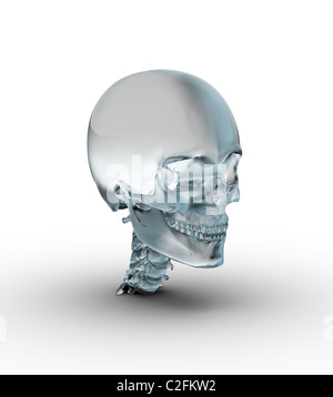 Male skull made of frosted glass.