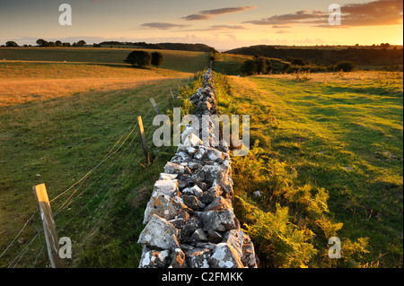 A drystone wall leading through farmland at Velvet Bottom Nature Reserve on the Mendip Hills, Somerset. Stock Photo