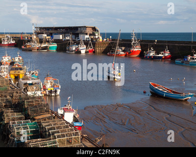Shell fishing boats in Bridlington Harbour in evening light Stock Photo