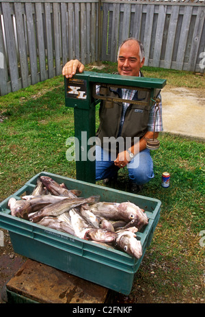 1, one, French-Canadian, Canadian, man, fisherman, weighing fish, marina, Shippagan, New Brunswick Province, Canada Stock Photo