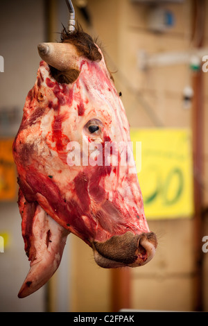 A cows head hangs on a butchers counter, Ballaro Market Palermo Sicily Italy Stock Photo