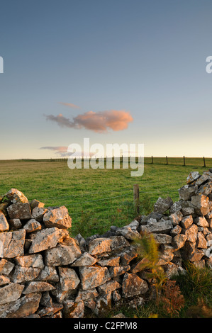 Crumbling drystone wall and neat fencing running through fields at Velvet Bottom Nature Reserve on the Mendip Hills, Somerset. Stock Photo