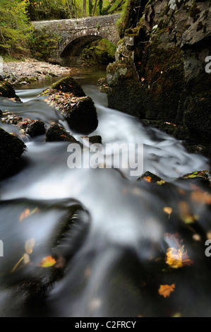 Water gushing over rocks and flowing under a bridge at Pont Melin Fach in the Brecon Beacons, Wales. Stock Photo