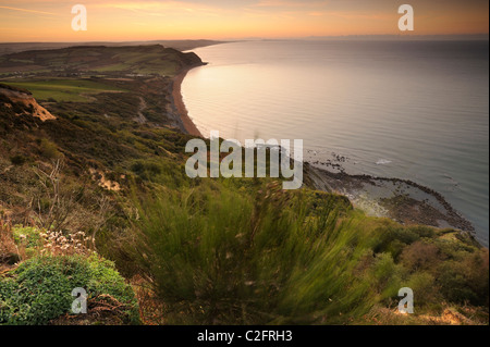 View to the east from Golden Cap on Dorset's Jurassic Coastline before sunrise.