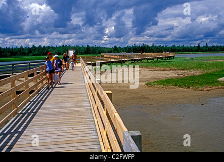 People, tourists, boardwalk trail, Kouchibouguac National Park, near, Richibucto, New Brunswick Province, Canada Stock Photo