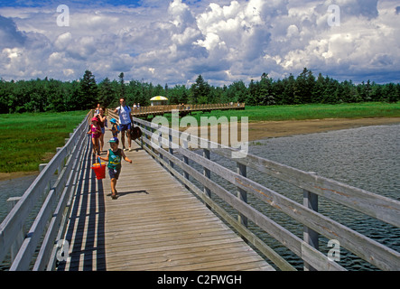 People, tourists, boardwalk trail, Kouchibouguac National Park, near, Richibucto, New Brunswick Province, Canada Stock Photo