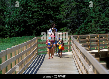 People, tourists, boardwalk trail, Kouchibouguac National Park, near, Richibucto, New Brunswick Province, Canada Stock Photo