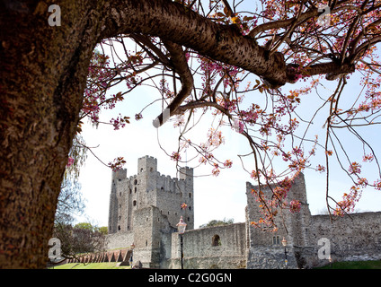 Rochester Castle in Kent photographed in the spring Stock Photo