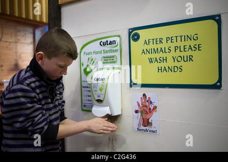Health Hazard  Young boy at Farmer Parrs Animal Farm washing hands after handling farm pets, Blackpool,  Lancashire UK. Stock Photo