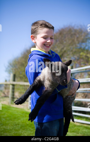 Portrait of young boy (MR) at Farmer Parrs Animal petting Farm carrying spring lamb, Blackpool,  Lancashire UK. Stock Photo
