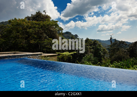 swimming pool in five star luxury Nyungwe Forest Lodge, Parc National de Nyungwe, Rwanda, Africa Stock Photo