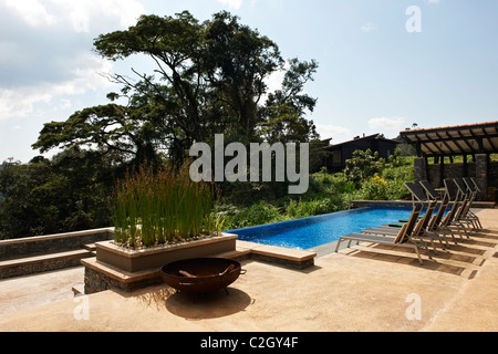 swimming pool in five star luxury Nyungwe Forest Lodge, Parc National de Nyungwe, Rwanda, Africa Stock Photo