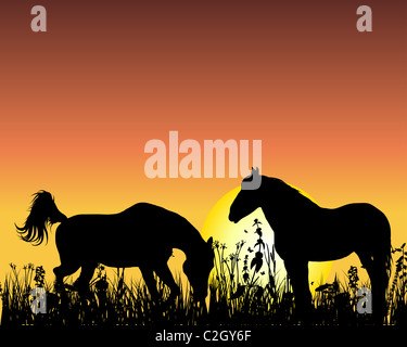 Horse silhouette on sunset background. Vector illustration. Stock Photo