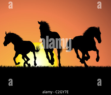 Horse silhouette on sunset background. Vector illustration. Stock Photo